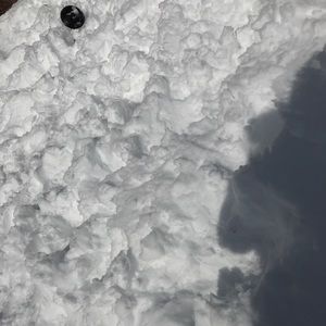 Meet your Posher, Jojo